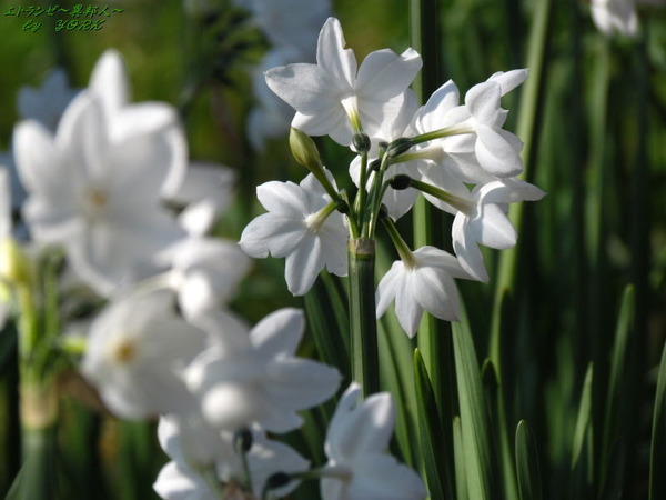 1980��������170204