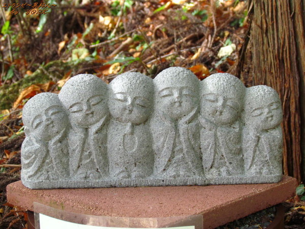 0431�����ϻ��¢161113