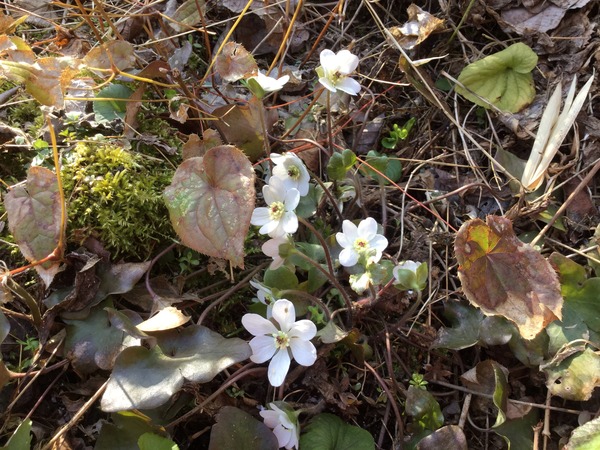 582585DA-9713-4178-9746-9CEBA0FF222B