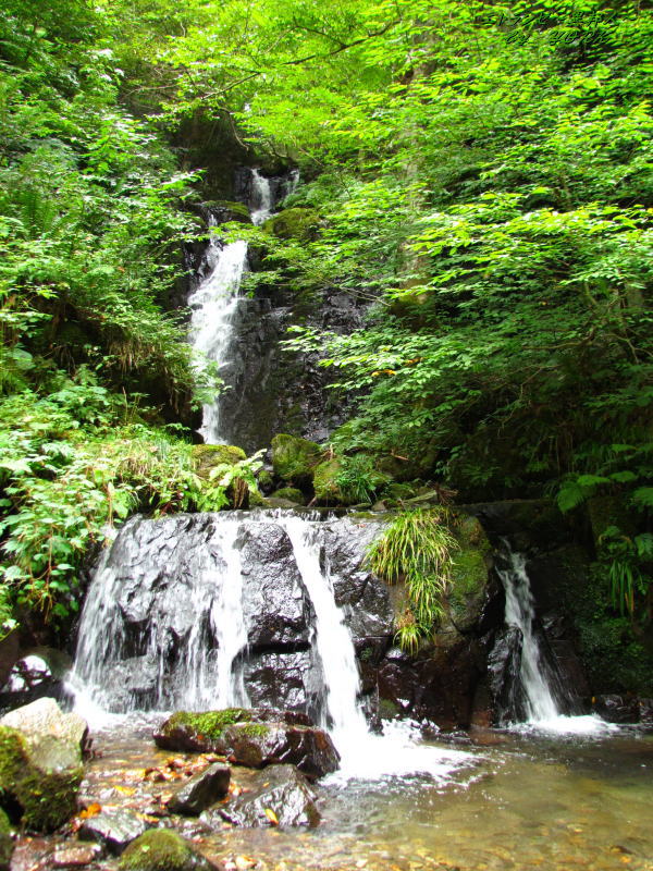 3802���ߤ�������Į��140915