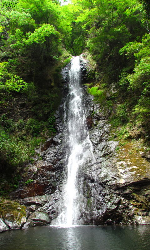 �����ѡ�7525εƬ����480��800