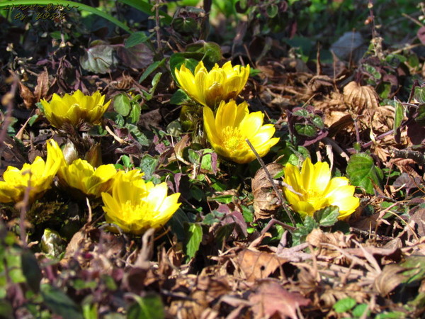 1971ʡ����170204