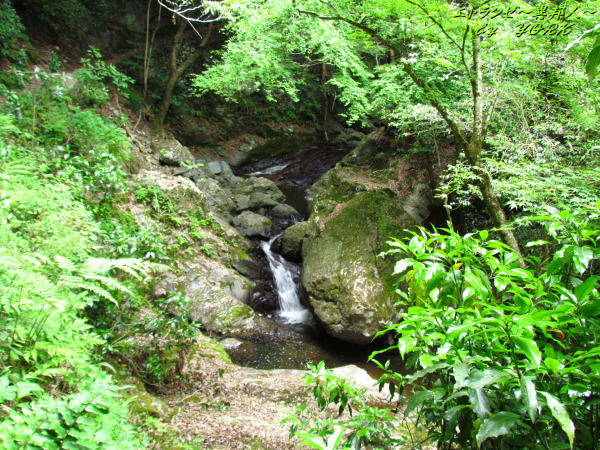 7511�������줬���äѤ�����ޤ���130526