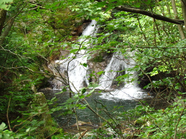 4659��Ȫ����140920