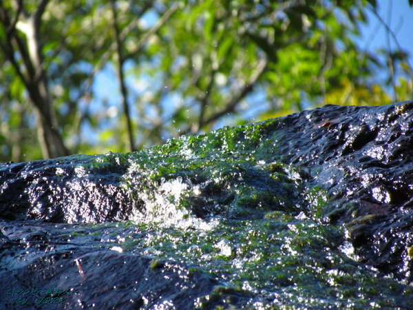 8516��ë����ο夷�֤�130821