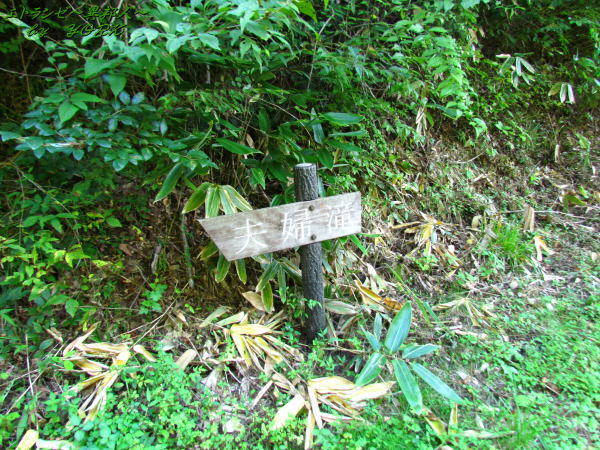 3672������δ���140914