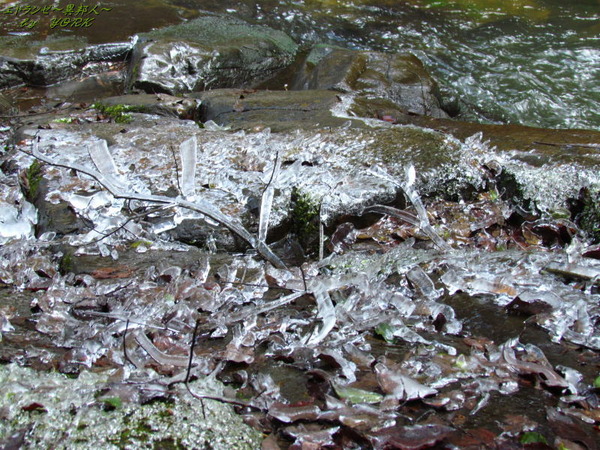 2150ɹ�ηݽѺ���170212