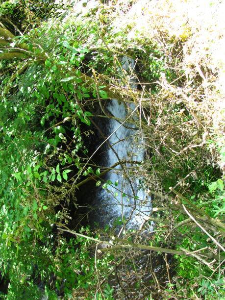 2332������졡�����140727