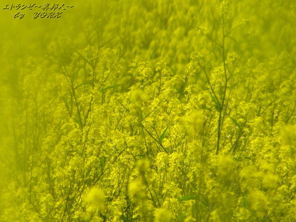 6791���̺ڤβ�130413