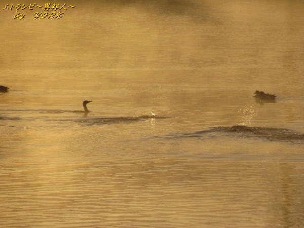 0737����111122