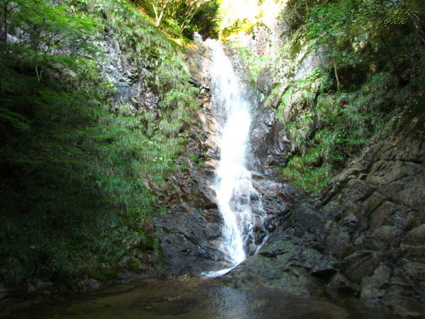 8186­����160924