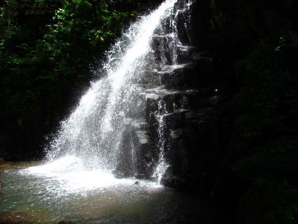 4298��첼����170528