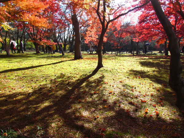 5446���ȱ�121125