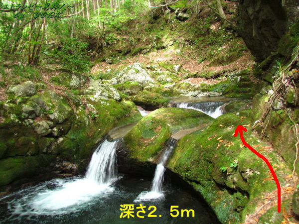 4656ŷ��ʥ��ȴ����140920