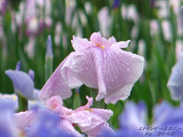 0978�־Գ�����110612