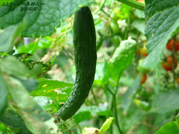 1286���奦��110723