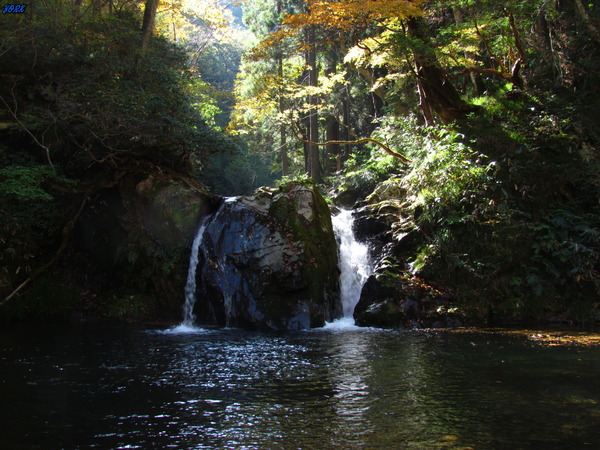 1056新庄不動滝女滝251108