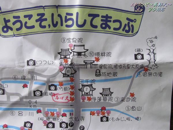 4399�褦�������餷�Ƥޤä�120816