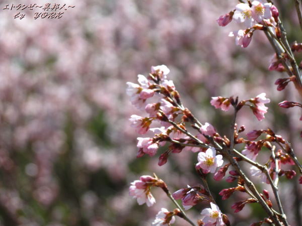 0543��餭�κ�����140322