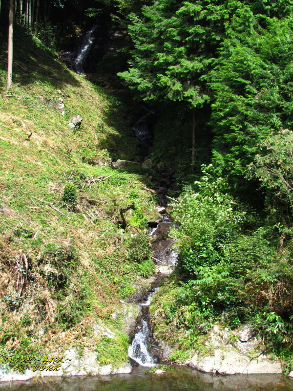 4645��������140920