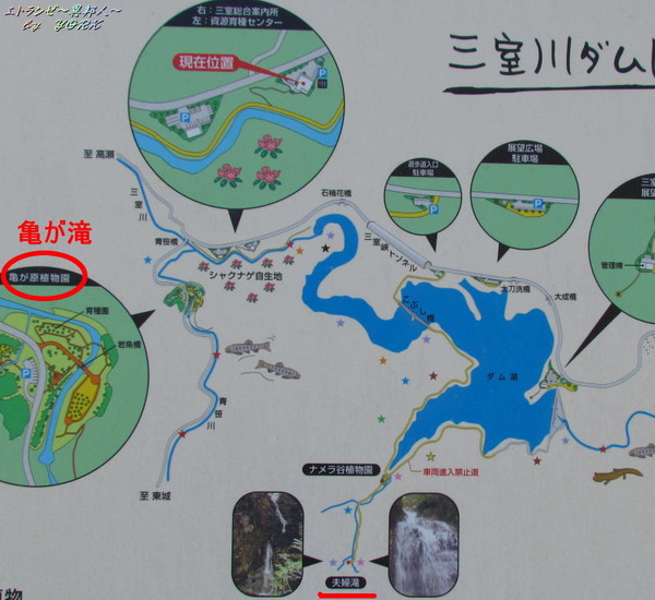 3655�����������տ�140914