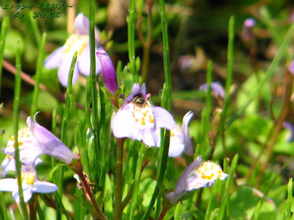 0690��β�110520