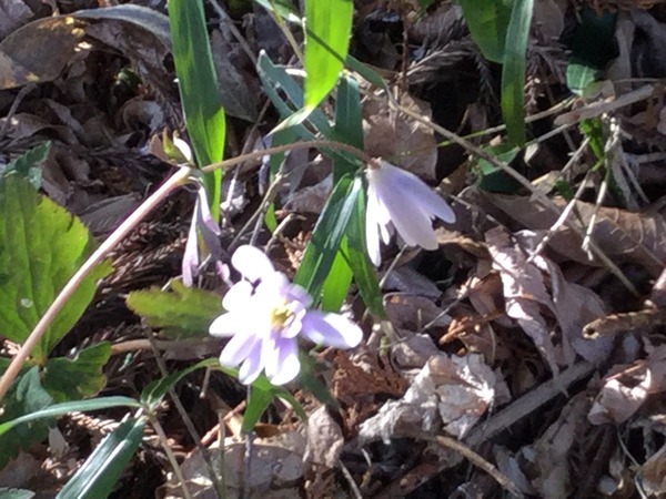 39634517-606E-4CB4-9C4D-F8ED34A3C65E