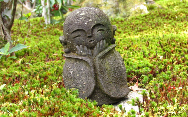 �ɻ桡5854Ԥ�����Τ���¢��1280&times;800