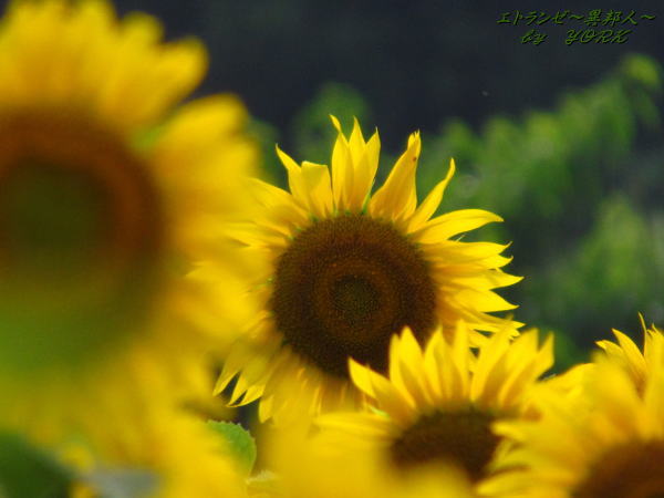 3688������120715