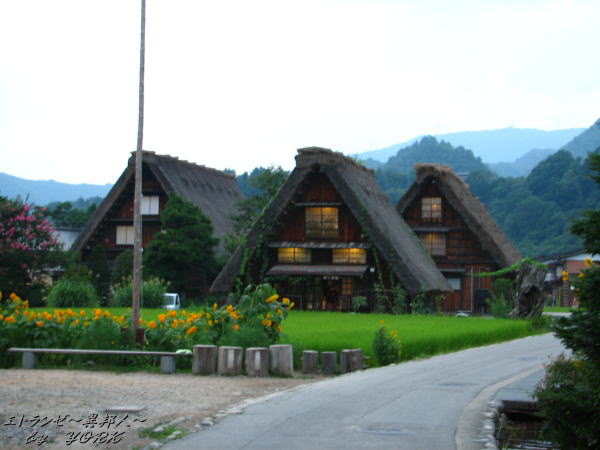 1600���110816