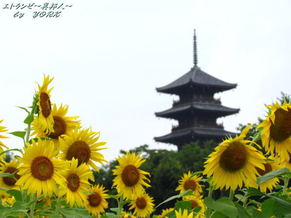 7936�������ȸ޽���130714