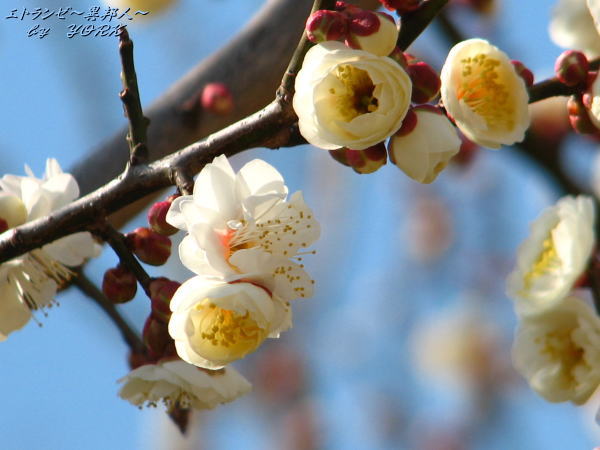 2147����140222