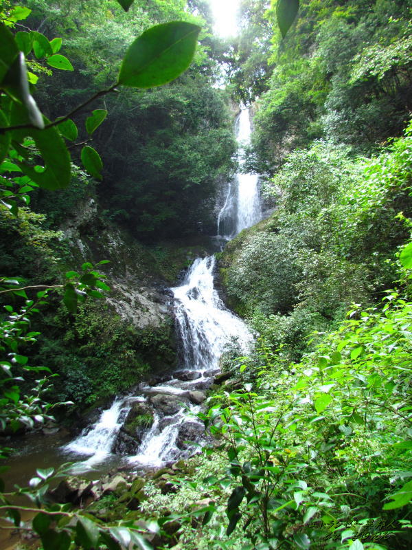 3582���ڤ���140831