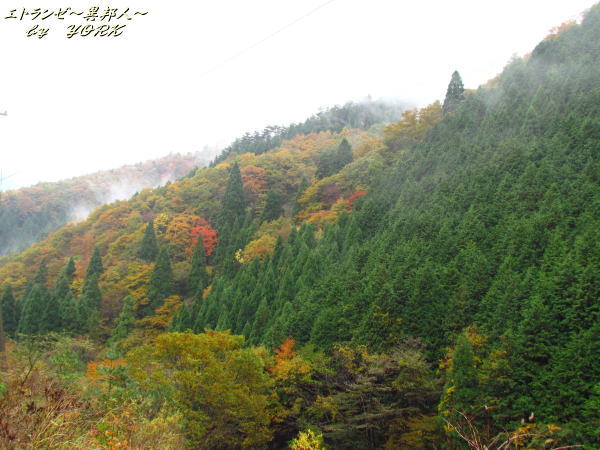 0532���դλ�131104