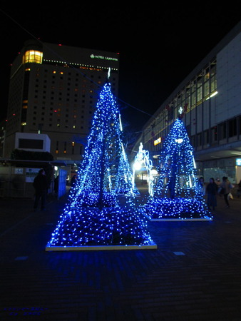 2410ブルーツリー191220