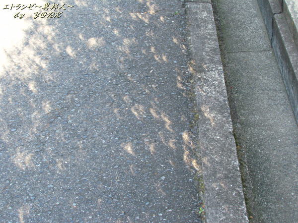 2887��ϳ����������120521