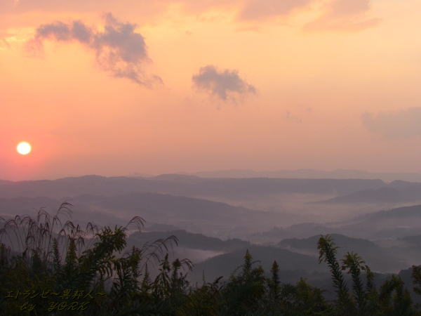 4903ͼ���ȱ���121028