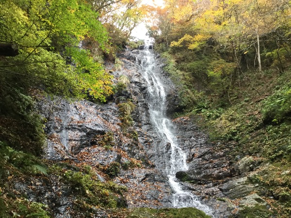 E6C395E0-DFE5-4958-B640-957E5C7DCE45