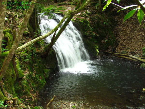 8644�����졡����150517