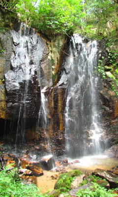 �����ѡ�4677�ȥ��������240��400