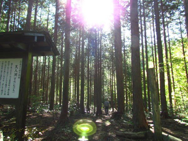 5343ŷ��ʥ�᤯141019