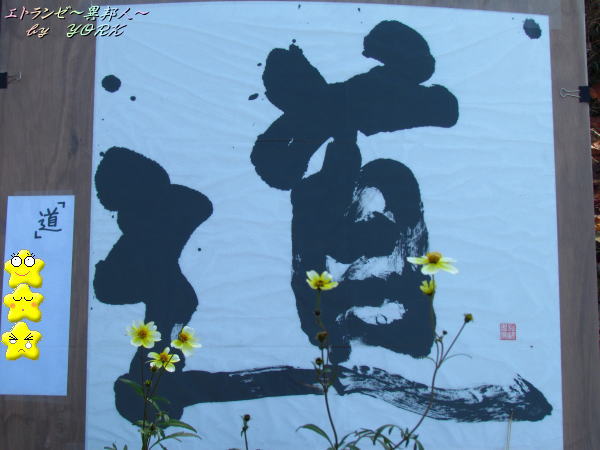 0844��ƻ��̼������131124