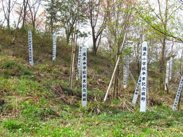 1020��ǰ����140426