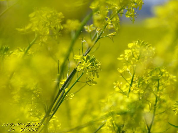 6786�ڤβ�130413