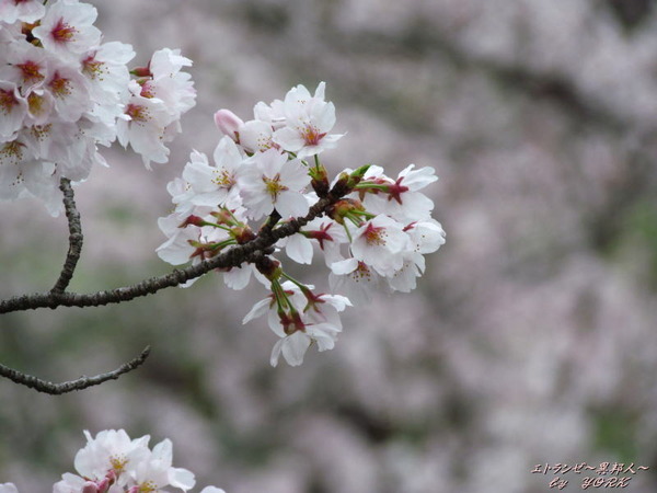 2787��ܤκ�170409