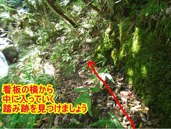 3562���ڤ����������ն�140831