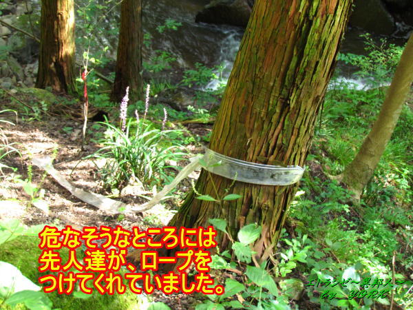 3584�ե��å���������140831