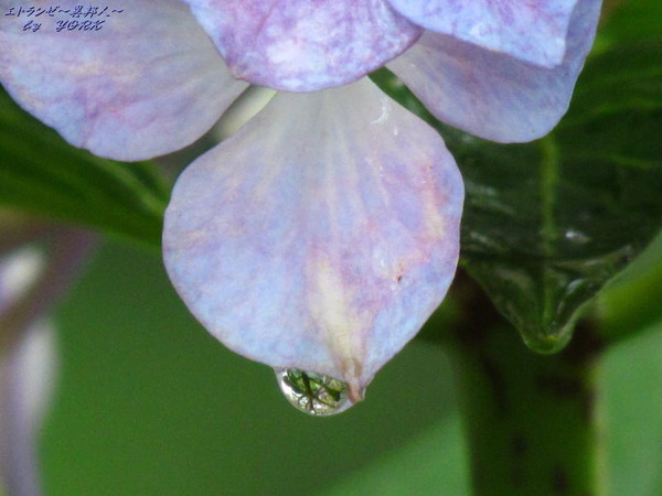 4628����������ũ170625