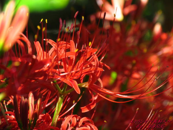 8665�ؼ��130916