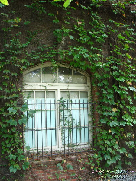 1824�դ����ޤ���110908